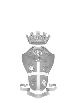ARMA DEI CARABINIERI