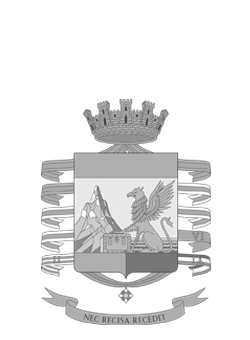 GUARDIA DI FINANZA