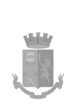 POLIZIA DI STATO